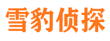 巨鹿找人公司